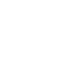 Irisidea